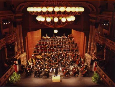 Das Orchester des Theaters Altenburg-Gera im Landestheater Altenburg